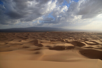 Fototapeta na wymiar Khongoryn Els dunes at sunset, Gobi desert