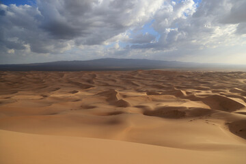 Fototapeta na wymiar Khongoryn Els dunes at sunset, Gobi desert