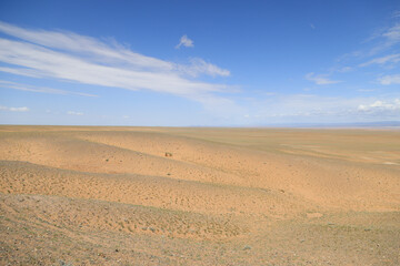 Fototapeta na wymiar Landscape of the Gobi Desert, Southern Mongolia