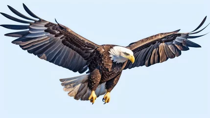 Tuinposter Majestic bald eagle photo realistic illustration - Generative AI. © Mariia