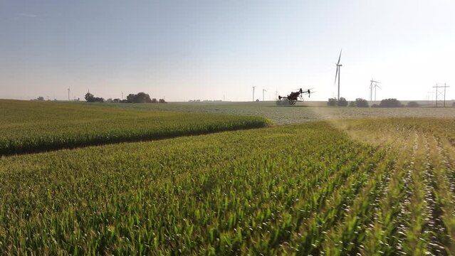 Ag drone spraying chemicals on a corn field in Iowa in the summer
