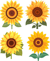 Sunflower Hand Drawn Illustration Set, Decorative Element
