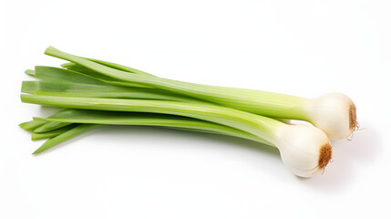 Leek on white background