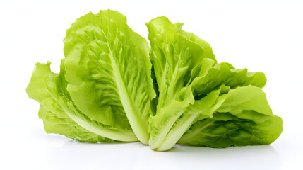 Lettuce on white background
