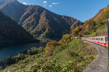 富山県 黒部峡谷 中部山岳国立公園 トロッコ電車と紅葉