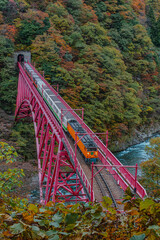 富山県 黒部峡谷 やまびこ展望台からの新山彦橋とトロッコ電車