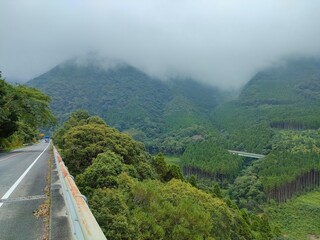 鹿児島の山の中
