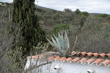 Landscape of view from garden at Casa Dali during summer in Port Lligat Catalonia