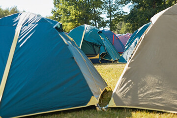 Forest Escape: A group of enthusiastic campers enjoy a summer getaway, their colourful tents dotting the serene woodland.