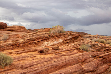 Fototapeta premium Horseshoe Bend