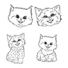 Cat. Graphic, hand-drawn, black and white sketch of a cat on a white background.