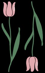 hand holding a flower