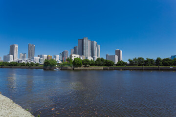 summer sky and urban garden 45