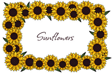 Sunflower frame. Sunflower vector background for image and text. Collection decorative floral design elements. Vector illustration EPS10