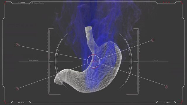 Human Stomach Holograms With HUD UI Elements