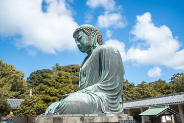 The great blue buddha statue Kamakura Daibutsu at Kotoku in shrine temple in Kamakura,Kanagawa, Japan