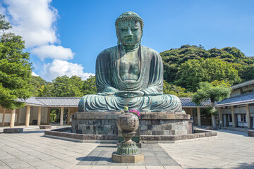 The great blue buddha statue Kamakura Daibutsu at Kotoku in shrine temple in Kamakura,Kanagawa,...