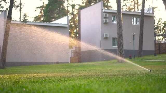 Automatic lawn watering at sunset. Watering