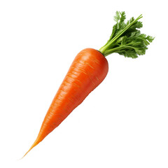 Carrot on white background.