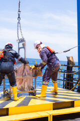 Teamwork in marine organism sampling on vessel