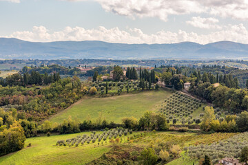 Fototapeta na wymiar Tuscan valley with olive trees grove scenery landscape. Tuscany, Italy, Europe, travel photography