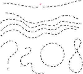 Ant trail illustration. Insect path to the home.