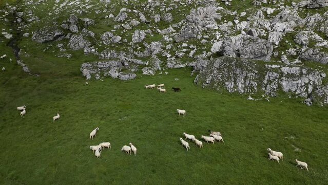 Aerial view of Dolomites Alps near Alta Badia, Trentino-Alto-Adige region, Italy. Summer season.