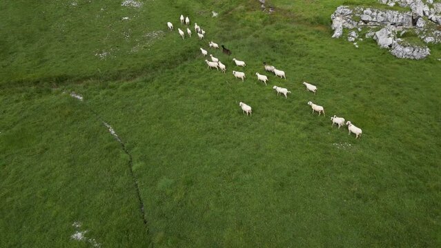 Aerial view of Dolomites Alps near Alta Badia, Trentino-Alto-Adige region, Italy. Summer season.