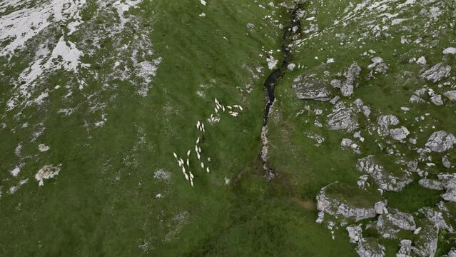 Aerial view of Dolomites Alps near Alta Badia, Trentino-Alto-Adige region, Italy. Summer season.