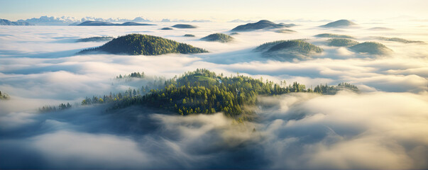 Obraz premium Aerial view of fog rising above island trees. Misty landscape with forest.