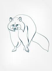 raccoon vector line art animal wild life single one line hand drawn illustration isolated