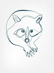 raccoon vector line art animal wild life single one line hand drawn illustration isolated