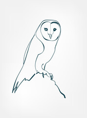 owl vector line art animal wild life single one line hand drawn illustration isolated