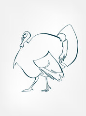 turkey vector line art animal wild life single one line hand drawn illustration isolated