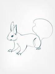 squirrel vector line art animal wild life single one line hand drawn illustration isolated