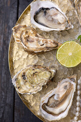 large, beautiful, fresh oysters on a dark table. Close up