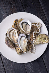 large, beautiful, fresh oysters on a dark table. Close up