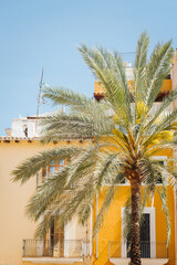 Façade d'une maison jaune et palmier à Palma de Majorque. Une maison jaune en été aux Baléares. Architecture espagnole. Ambiance vacances et été. © david