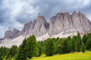 Fototapeta na wymiar Dolomite landscape in Puez Odle Nature Park - view from alpine plateau with green meadows, Italy