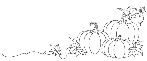 pumpkins line art style. halloween and thanksgiving elements vector.