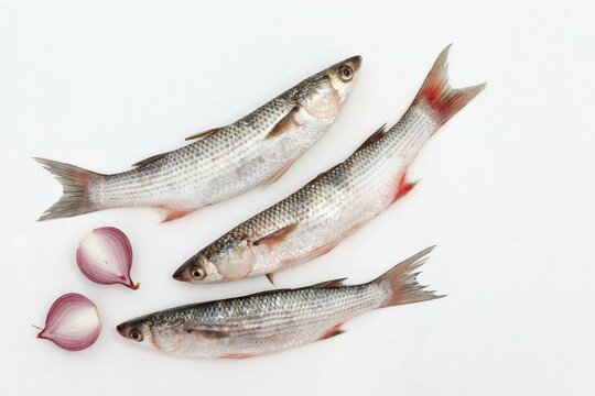 Three fish, on a white background, mullet, sea fish, seafood, free space, place for text, top view