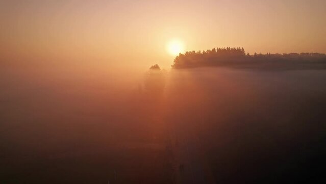 Layered morning haze fog mist during beautiful orange sunrise - DJI Mavic drone flight reveal above clouds at countyside road between meadow and nordic forest