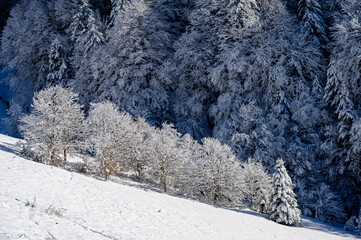 Payolle sous la neige