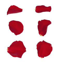 Rose Petal Red png.  Rose isolated on white background, Red rose petals isolated cutout. rose petals frame