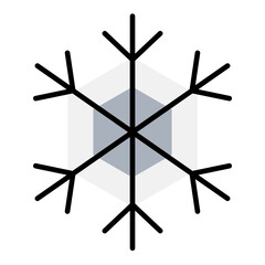 Snowflake icon