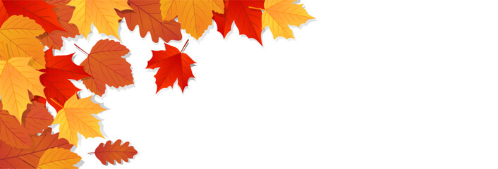 Naklejka na ściany i meble Autumn leaves background. Template design for poster, banner, flyer, card. Vector illustration