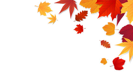 Autumn background. Falling autumn leaves banner design. Vector illustration