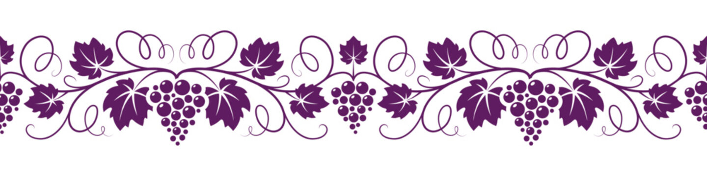 Grapes vine seamless horizontal pattern. Decorative illustration for grape juice or wine label, banner design.