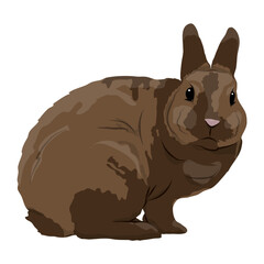 Brown domestic rabbit. Realistic vector animal