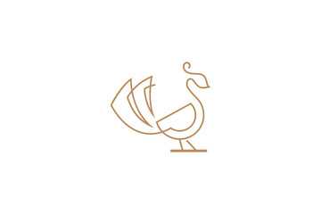 peacock logo with luxury linear design style